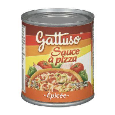 CH0035-1OU : Gattuso CH0035-1OU : Condiments - Sauce - Pizza Sauce Spicy GATTUSO, PIZZA sauce SPICY, 24 x 213 ML
