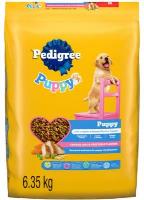 XCA0019-OU : Food Puppy Chick. & Vegetable